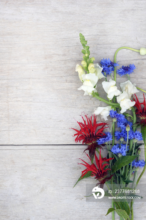 Vertical image of red, white, and blue flowers against a weathered wood background, with copy space