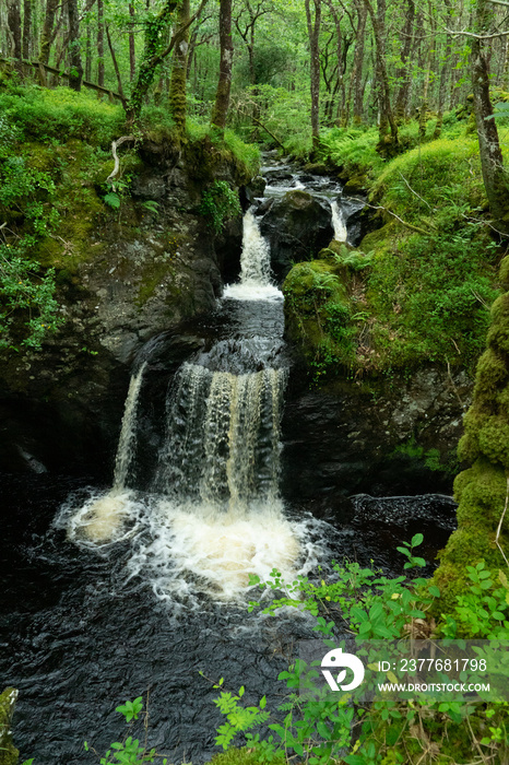 Waterfall in Wood of Cree, Dumfries & Galloway, Scotland