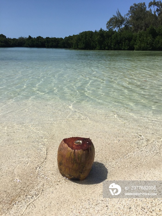 noix de coco sur le sable