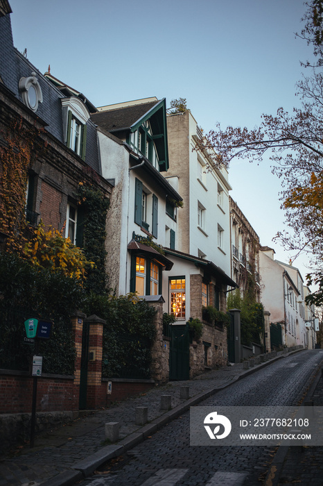 cobble stone streets of montmartre