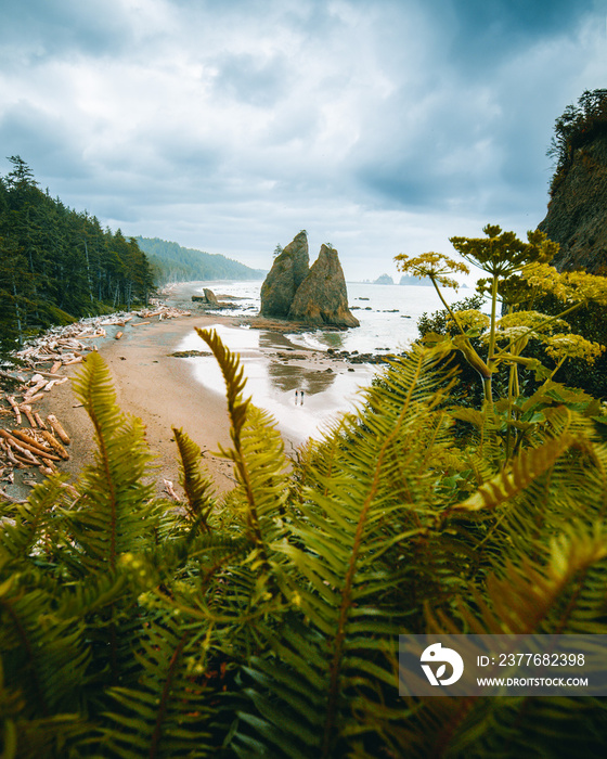 Stunning sea stacks at Rialto Beach in Olympic National Park in Washington state