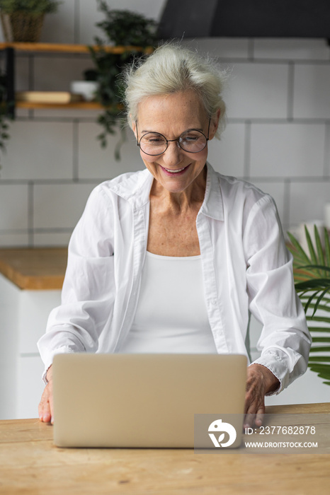 Attractive senior woman with grey hair working at home using her laptop. Concept of mature female using technology, remote freelance work for elder people. Active life of pensioner, social media