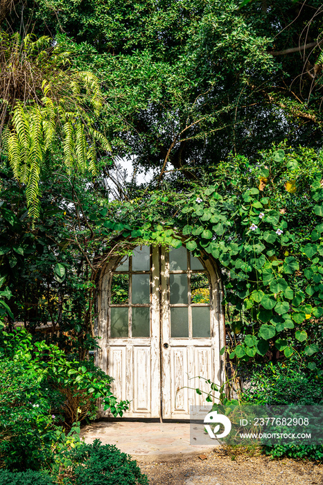 Old white wooden door in the garden with green tree and plant. Fantasy decoration park.