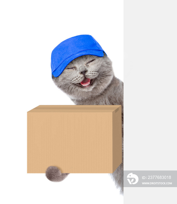 Happy cat with a cardboard box in his paws above white banner. isolated on white background