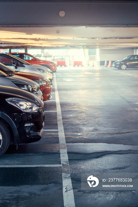 Row of cars in a car park or dealership. Selective focus. Vertical image