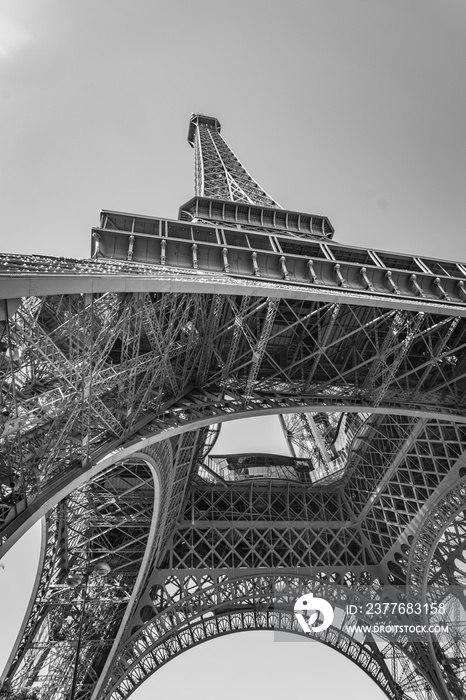 Eiffel tower in the summer