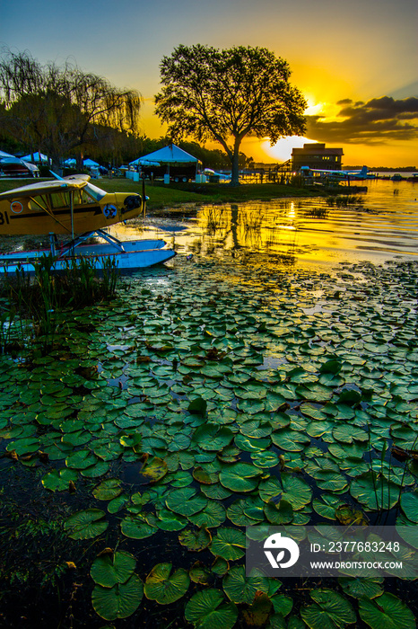 Seaplane at the Tavares docks sunrise