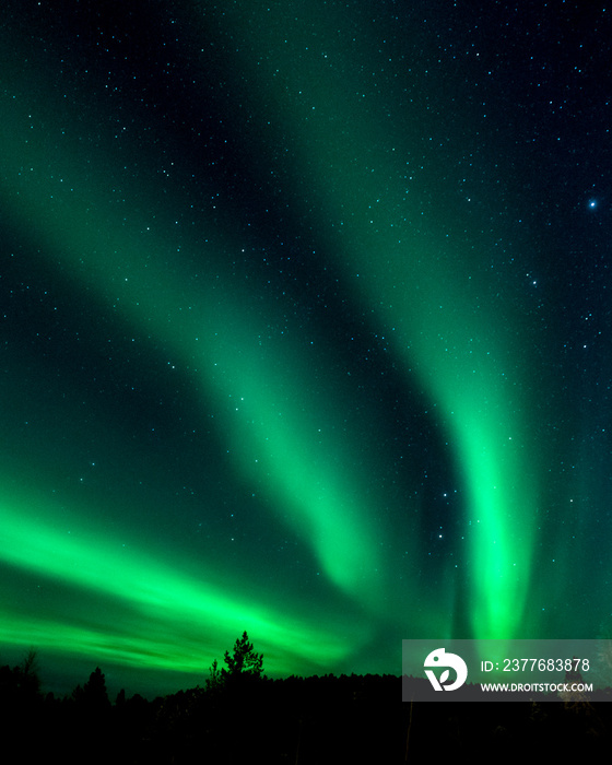 Aurora Borealis, or Northern Lights at Lake Inari, Finnish Lapland