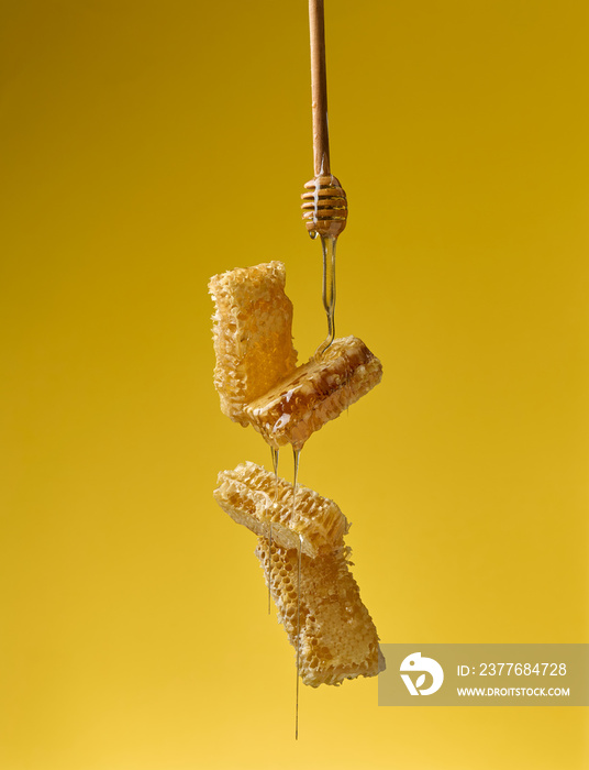 pouring transparent sweet honey from a wooden stick on a wax honeycomb. Yellow background. Food levitates