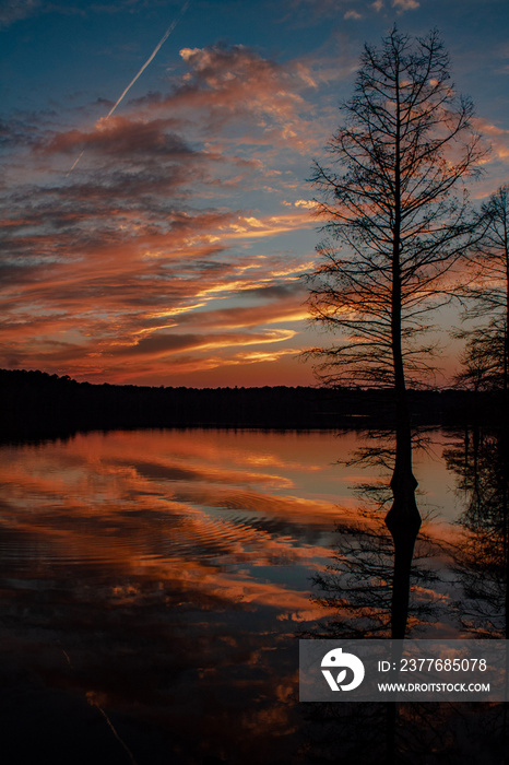 sunset on the lake