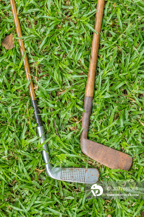 Two vintage golf clubs with hickory shafts isolated outdoors image with copy space