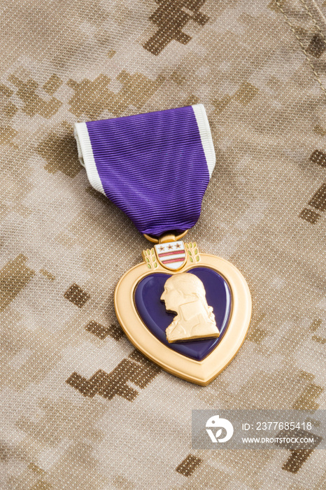 Purple Heart War Medal on Marine Camouflage Material