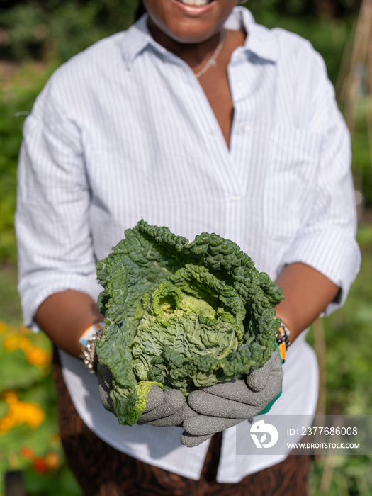 Mature woman holding cabbage in allotment