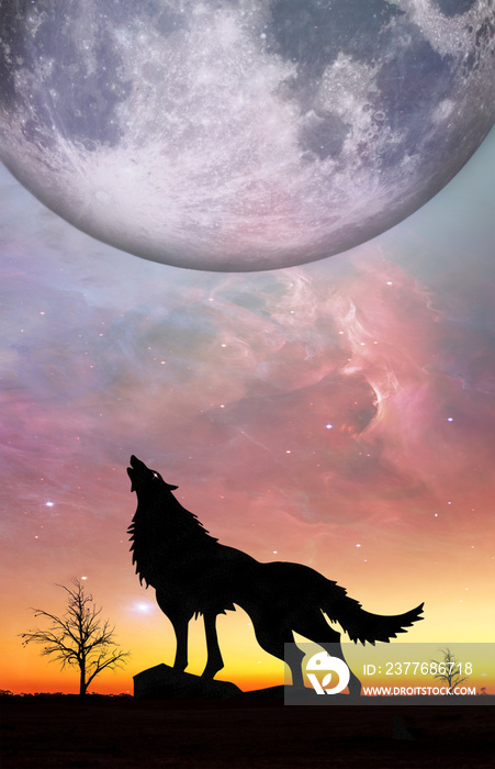 Fantasy landscape for e book cover - Howling wolf silhouette with huge planet rising in unreal sky. Elements of this image furnished by NASA