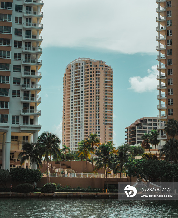 buildings Brickell key miami palms sea