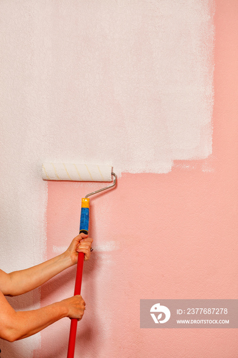 The painter’s female hands hold a paint roller on a long telescopic rod against the background of a pink wall.