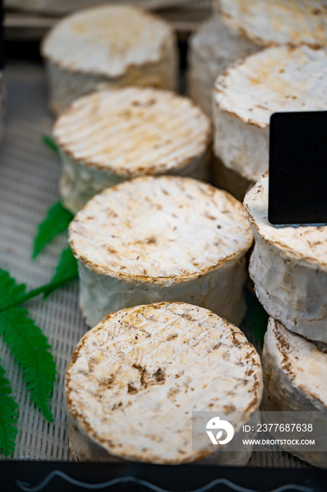 Cheese collection, french goat cheese chaource from Aube region, France