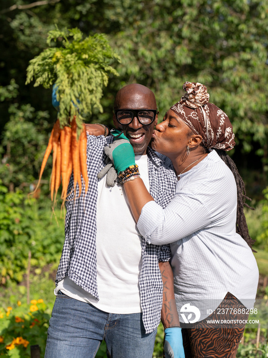 Smiling mature couple collecting carrots in allotment