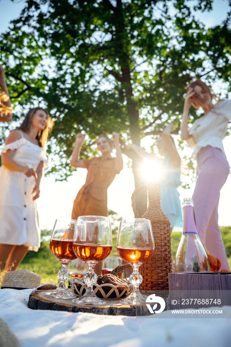 Summer Picnic Gatherings, Summer party time, summer drinks cocktails, Small gathering of friends. Young women girlfriends having fun together at picnic and holding glasses with alcohol drinks