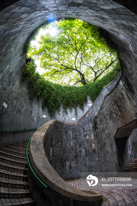 fort canning tree tunnel