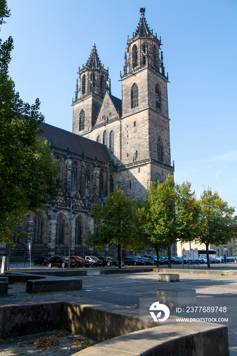 Domplatz in Magdeburg mit Magdeburger Dom an einem Sommermorgen