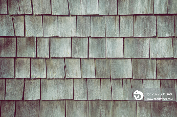 Cedar shake siding pattern for wooden texture background. Gray color with a light tint of green.