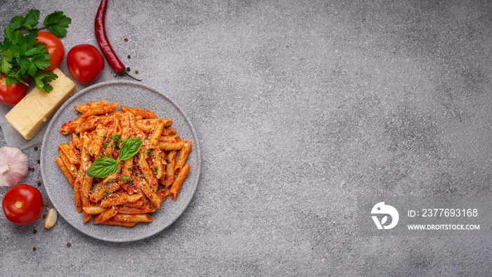 Plate Penne All’arrabbiata pasta and ingredients on gray background with copy space