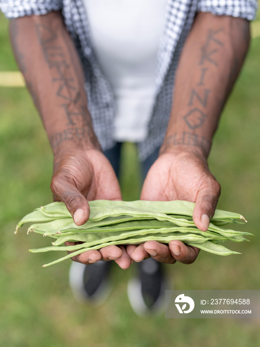 Close-up of mature man holding green beans