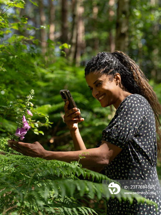 Woman photographing flower in forest