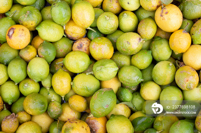 lemons on the ground because of storms and that cannot be eaten. a ruin for agriculture.