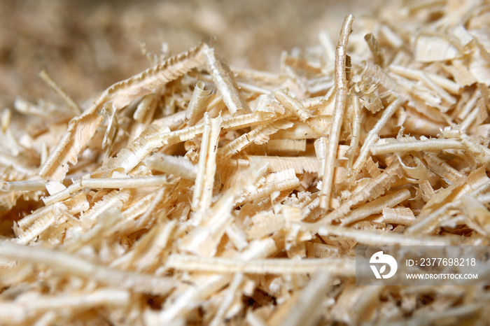 Sawdust or wood dust texture background, Sawdust close up