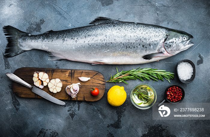 Whole raw salmon on grey background, flat lay