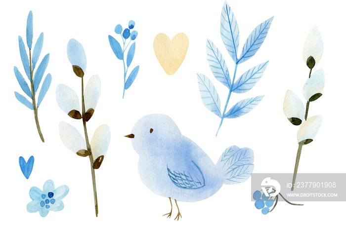 set of cute bird, heart, willow, leaves on an isolated white background, watercolor illustration, ha