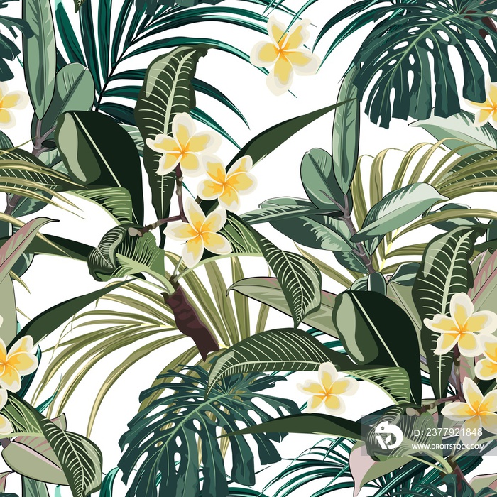 Seamless pattern with tropical leaves and paradise plumeria flowers. Dark and bright green palm mons