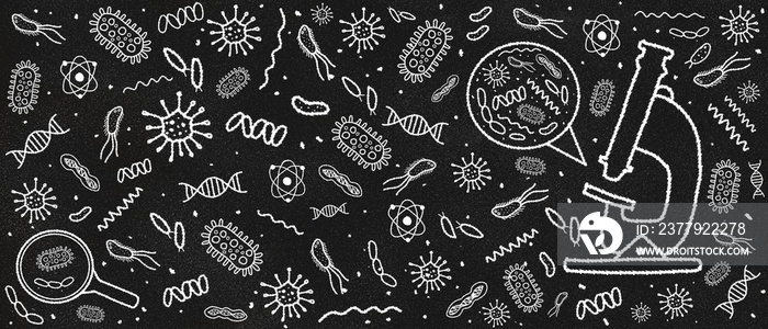 Hand drawn illustration of a Microscope and microorganisms on textured blackboard. Education. scienc