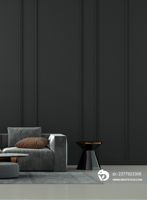 现代客厅内部和沙发以及黑色空墙纹理背景