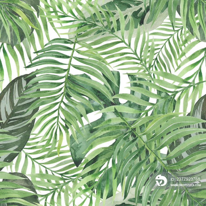 Seamless summer pattern with tropical exotic palm leaves, monstera. Botanical design for prints, wal