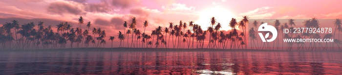 水面上的棕榈树，日落时海边一排棕榈树的全景，