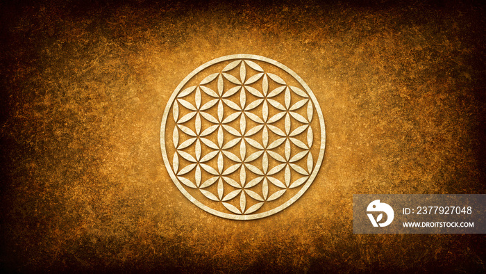 Symbol of the Flower of Life on a background of an artistic texture of an old brown paper or parchme