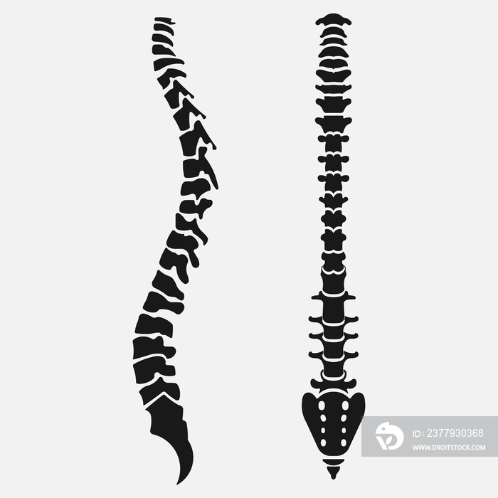 Spine emblem, anatomy human, clinic icon