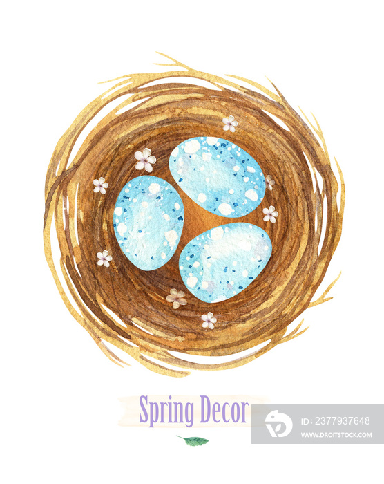 Little blue dot eggs in nest. Watercolor bird nest with egg