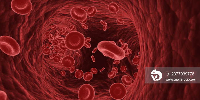 3d rendered medically accurate illustration of blood cells in a human artery