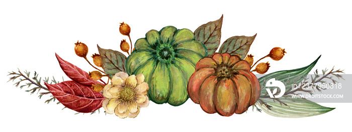 一套南瓜向日葵植物和树叶图案花环边界花束风格手绘