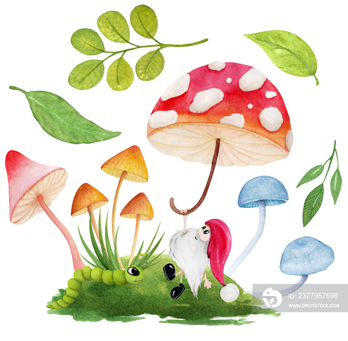 Cute watercolor gnome in cartoon style with umbrella amanita. Fairy tale little gnome with mushroom.