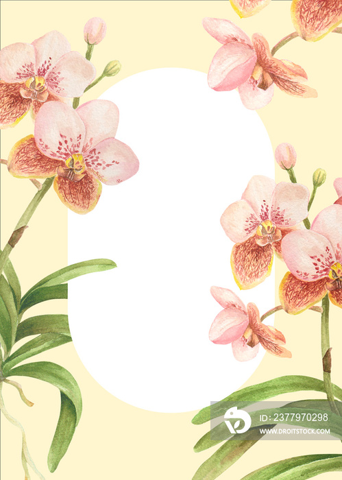 菲律宾植物群邀请模板Vanda sanderiana兰花