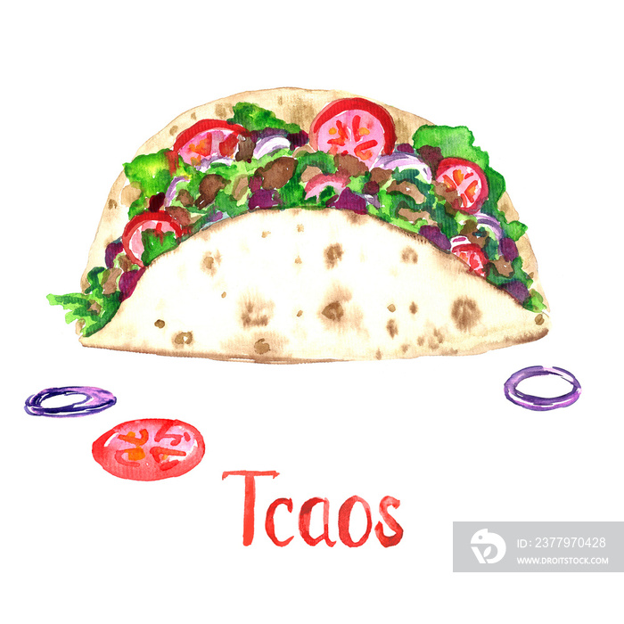 Tacos isolated on white hand painted watercolor illustration with handwritten inscription