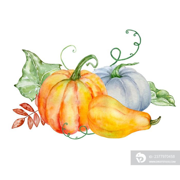 watercolor autumn composition of three pumpkins