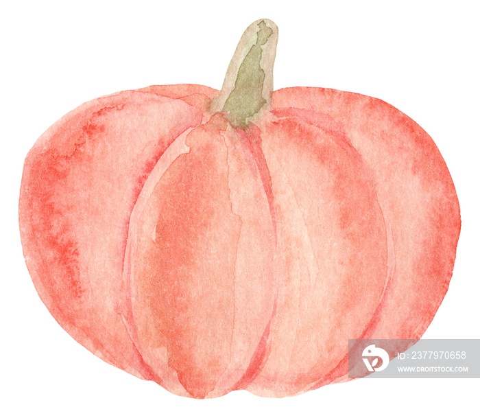 Watercolor autumn pumpkin. Hand drawn summer illustration. Design for fabric, packaging, textile, co