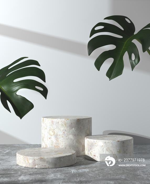 Modern Minimal Mockup Step Podium On Concrete Floor And Monstera With Sunshade Wall Abstract Backgro