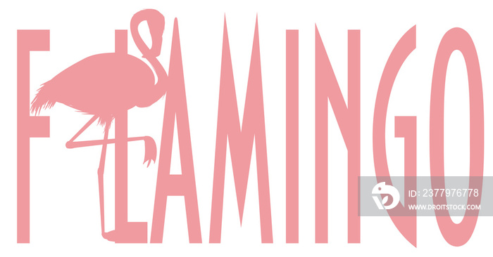 flamingo, pink flamingo, pink bird, bird, feathered, pink, animal, zoo, paradise, summer, word